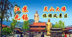 嫩穴视频江苏无锡灵山大佛旅游风景区